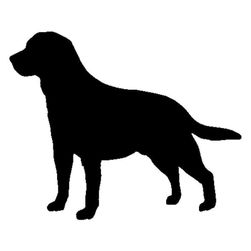 Samolepka na auto - Labradorský retrívr - 2 barvy