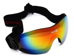 Ski goggles LH05