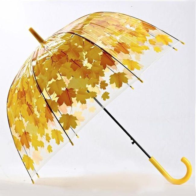 Deštník s barevnými lístky - 4 varianty 1