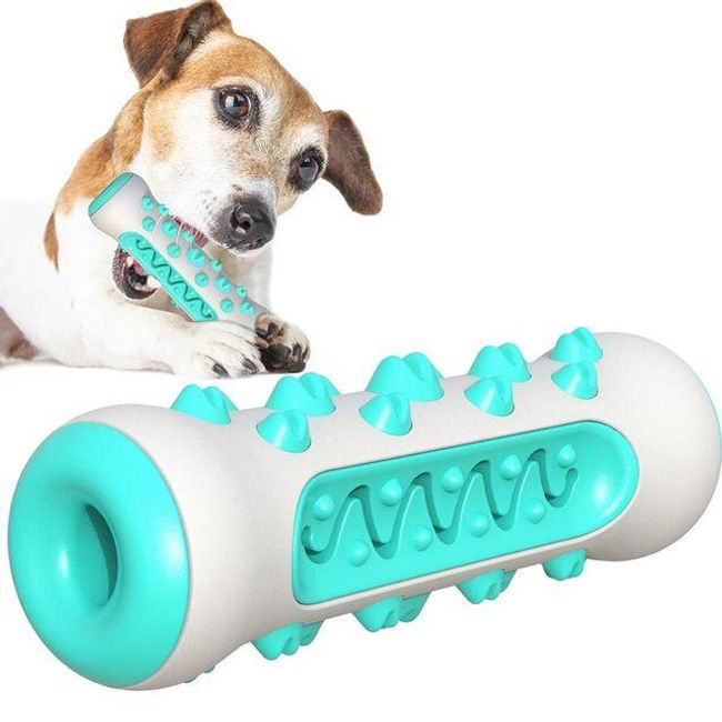 Dental toy for dogs Ertoo 1