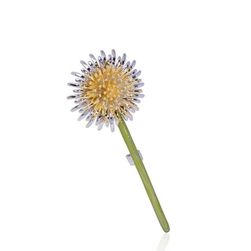 Dámská brož Dandelion