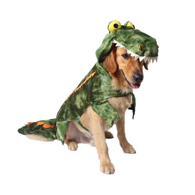 Krokodýlí kostým pro psy 1
