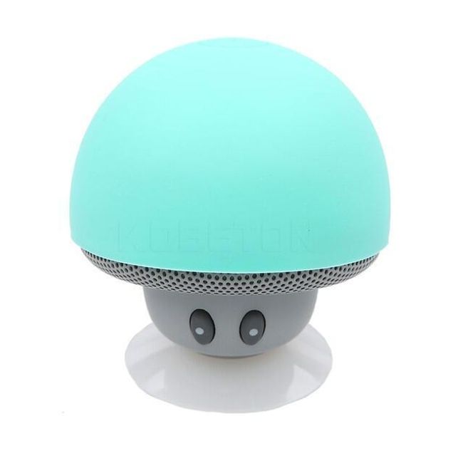 Portable wireless speaker BR01 1