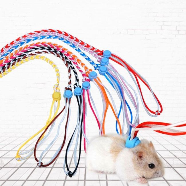 Pet hamster leash VKM12 1