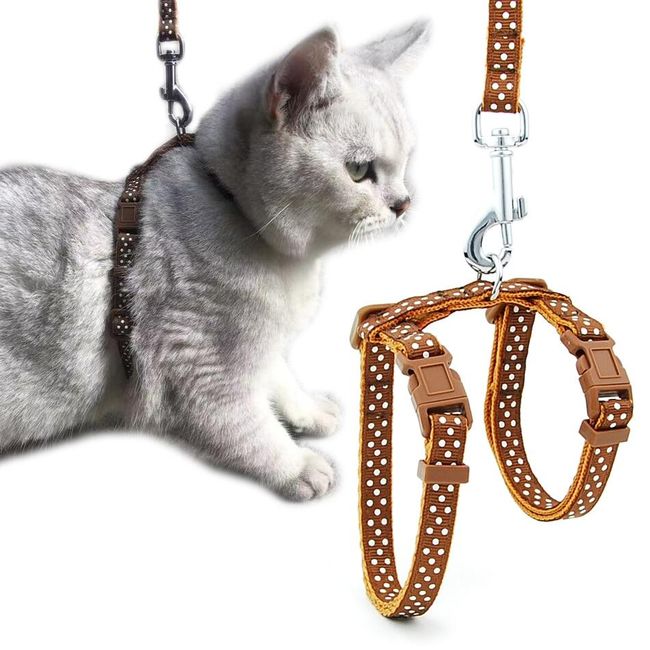 Cat harness TF4166 1