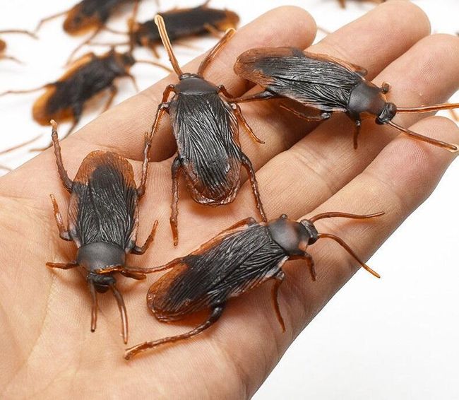 Sada umělých švábů - 12 kusů 1