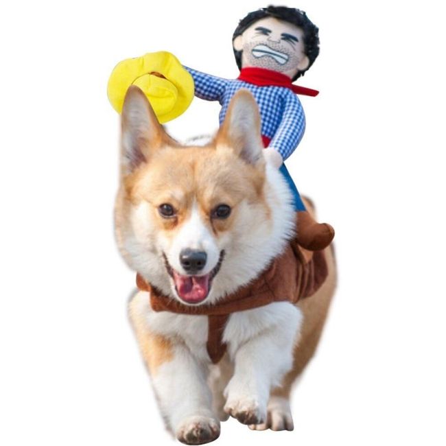 Kostým s kovbojom pre psov 1