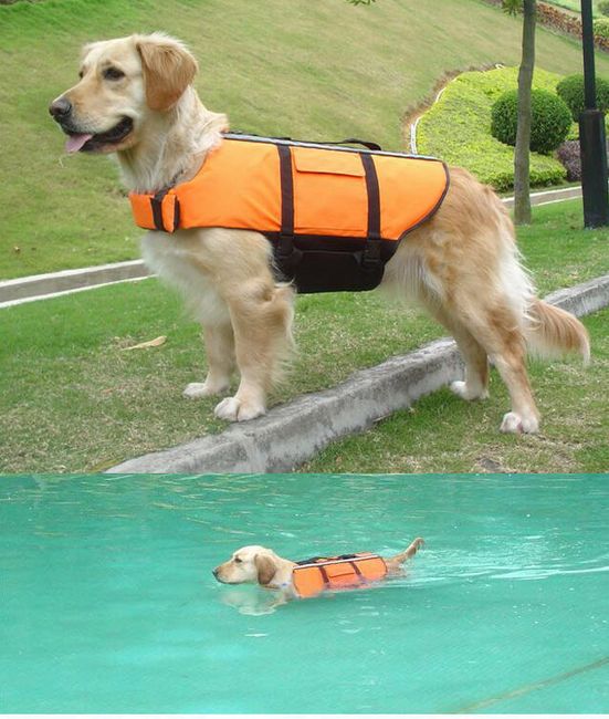 Oranžová bezpečnostní vesta pro psy 1