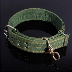 Zelena ogrlica za pse - 2 veličine