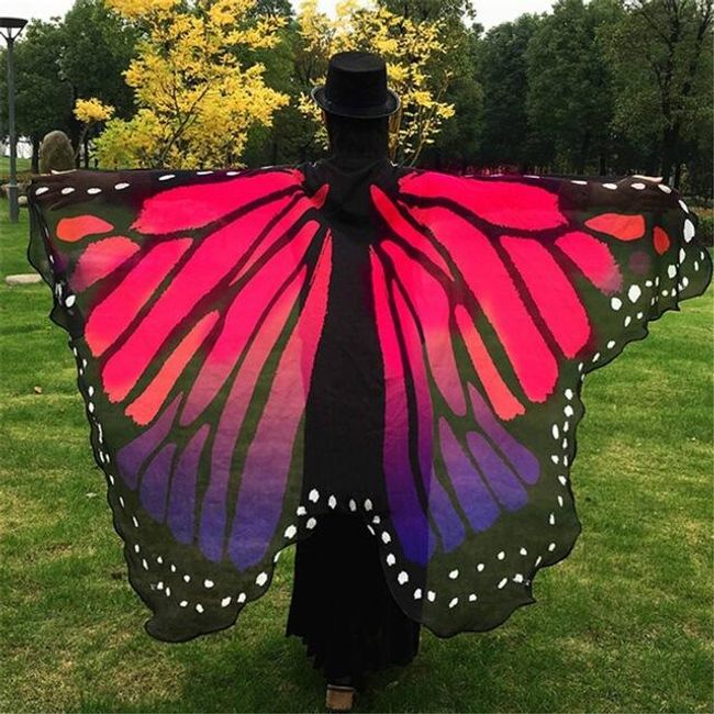 Kolorowe skrzydła motyla 1