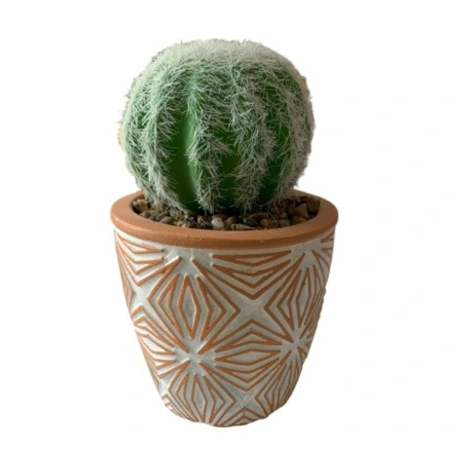 Egy kis kaktusz egy cserépben, mint egy igazi kaktusz. ZO_272201 1
