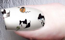 Naklejki na paznokcie - koty