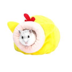 Hamster house B05976