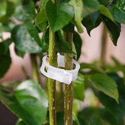 Set of clips for climbing plants 50x