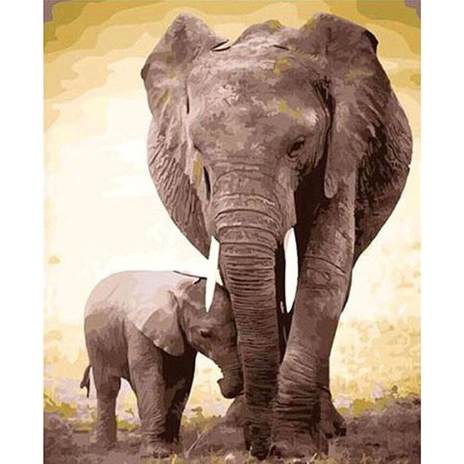 Slikanje po številkah - slon in dojenček 1