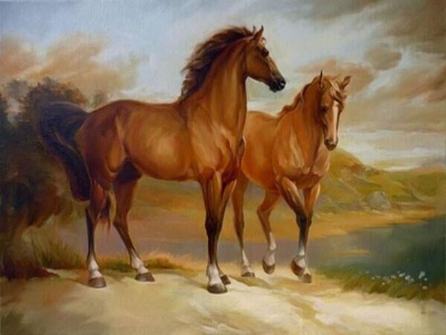 Obraz s koňmi - malování podle čísel 1