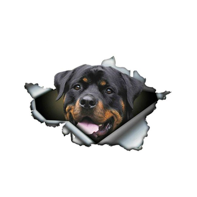 Nalepnica za auto Rottweiler 1