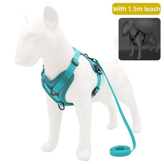 Dog vest with leash Griffith 1