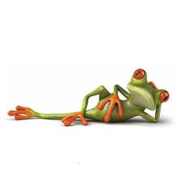 3D nálepka na auto - COOL žaba