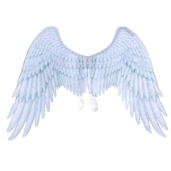 Skrzydła anioła BT45 1
