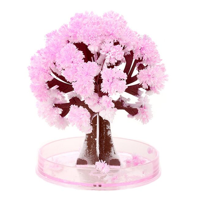 Papierowe rosnące drzewko - Sakura 1