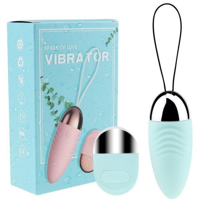 Vibrating egg with a controller BE44 1
