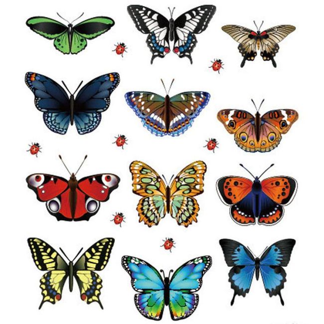Samolepky ve tvaru motýlků - 12 kusů 1