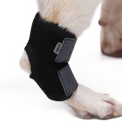 Dog leg brace Jenny