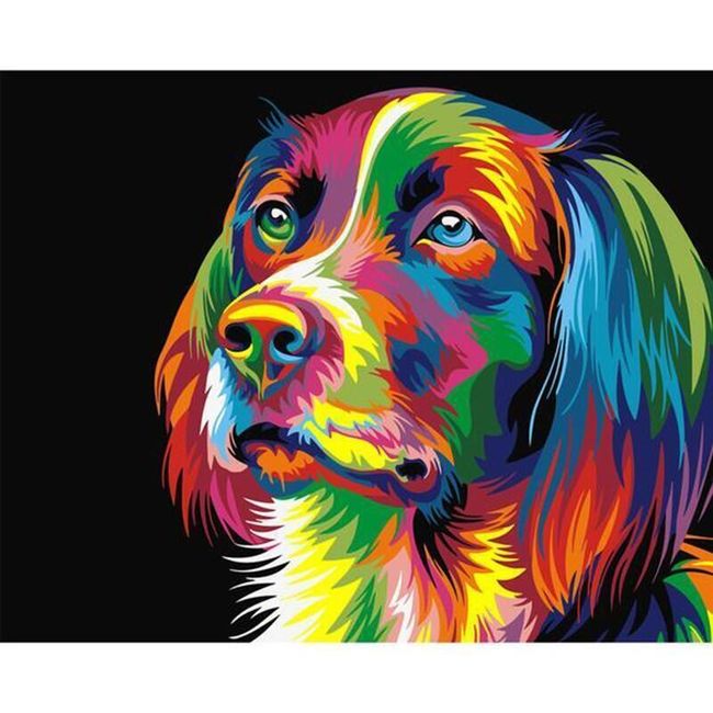 Malování podle čísel - barevná psí hlava 1