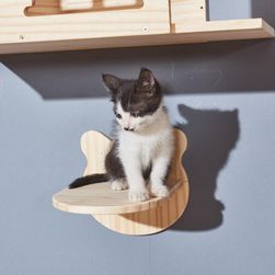 Cat shelf TF4101