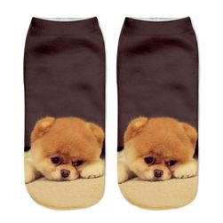 Ponožky s psíkov - 9 variantov