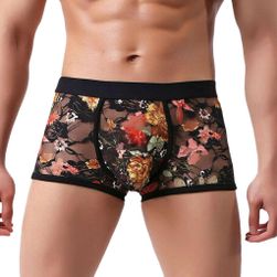 Men´s boxer shorts CXYY4