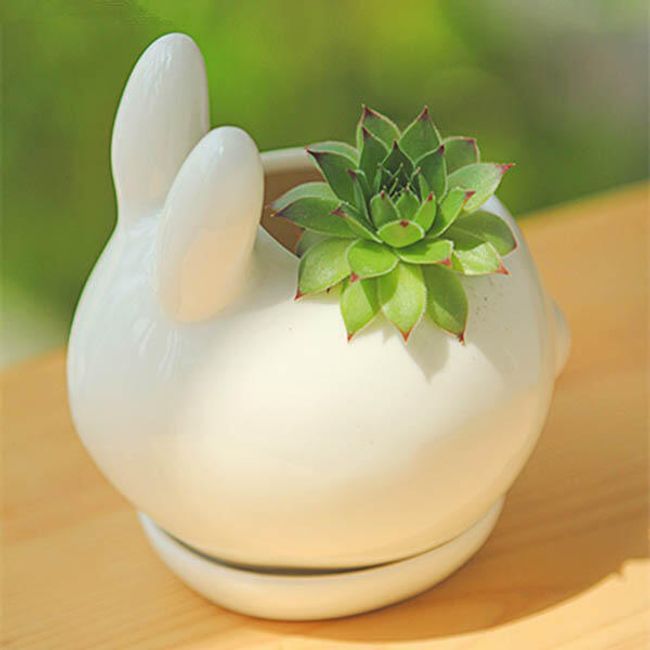 Keramický kvetináč v podobe králička 1