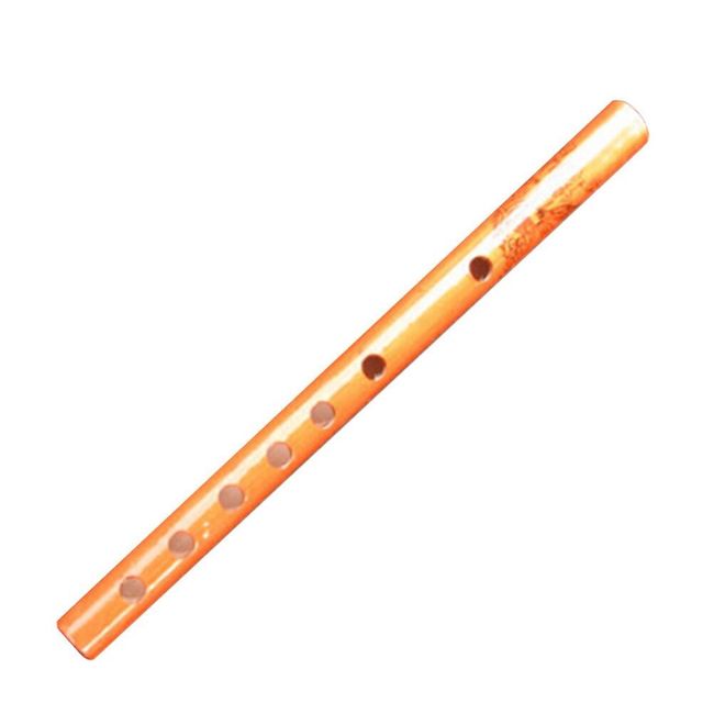 Flaut WX1 1
