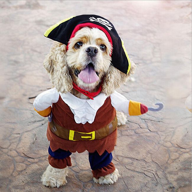 Piratski kostum za pse 1
