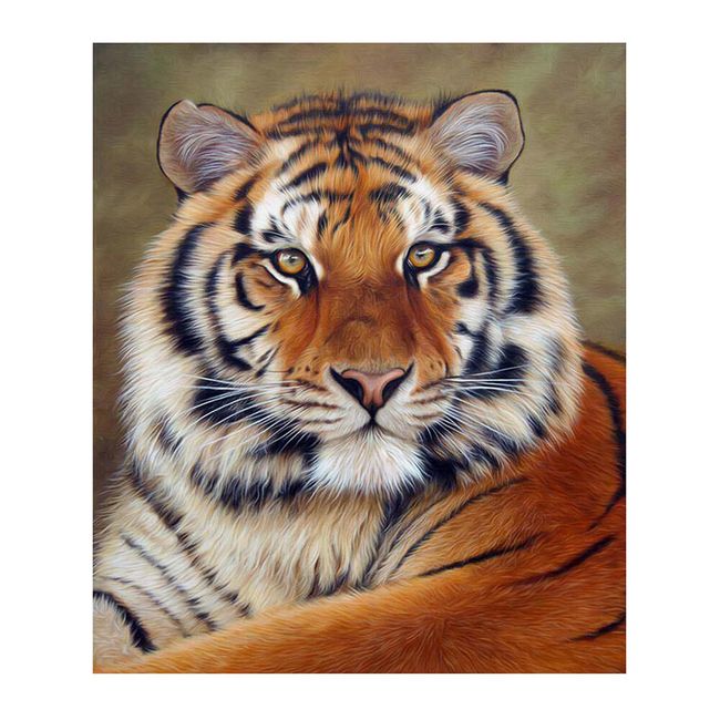 5D tigris festmény - 30 x 40 cm 1