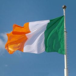 Национално знаме на Република Ирландия