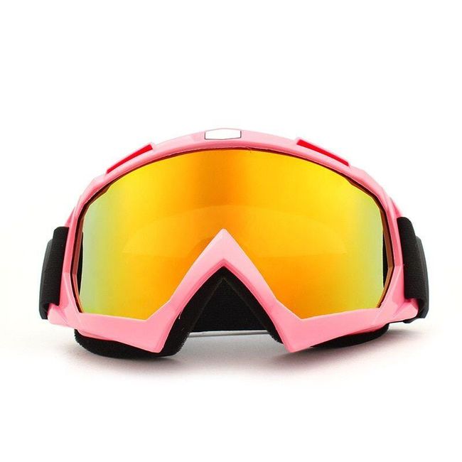 Ski goggles Ross 1