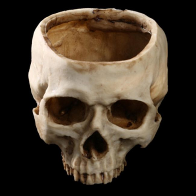 Dekoratív koponya 1