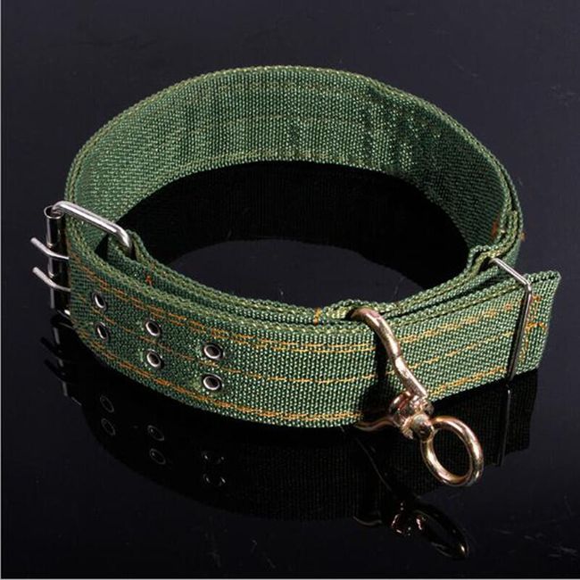 Zelena ogrlica za pse - 2 veličine 1