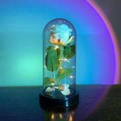 Valentýnská LED dekorace Rosita