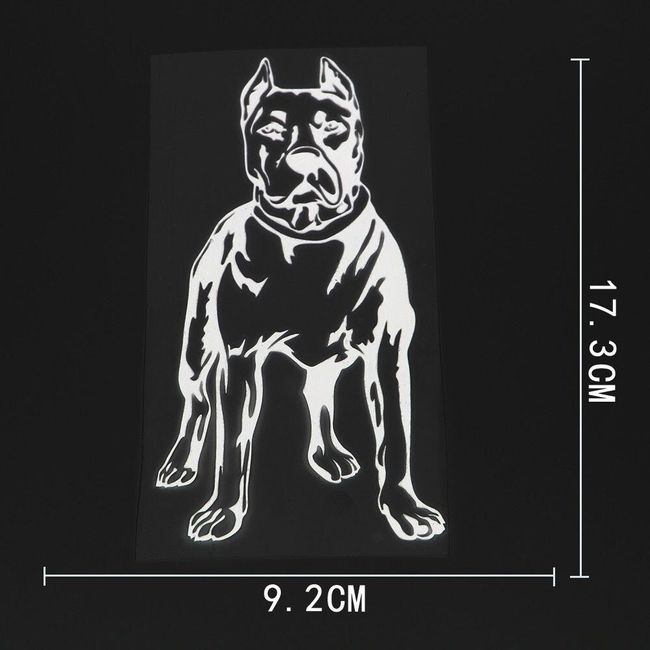 Car sticker VFBG5 1