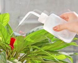 Sticlă de udare pentru flori - 2 dimensiuni