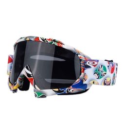 Ski goggles LH04