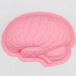 Forma silikonowa - mózg