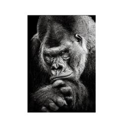 Slika na platnu bez rama - gorila NK78