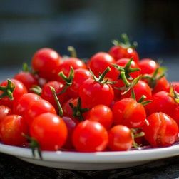 Храстови домати KARLA - семена