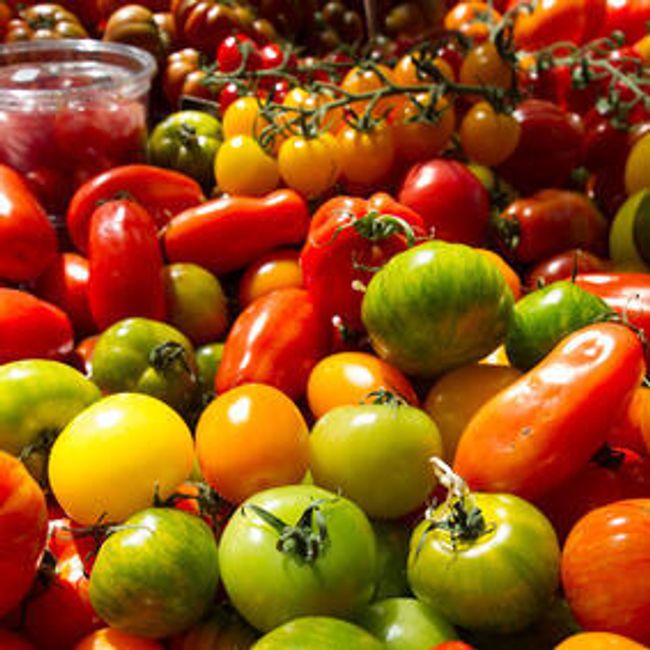 20 druhů rajčat z celého světa 1