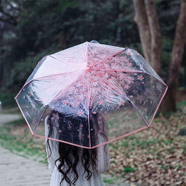 Průhledný deštník - elegantní 1