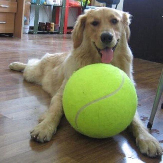 Velika loptica za tenis na naduvavanje za pse 1